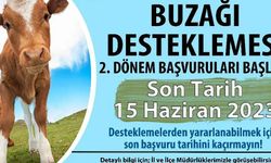 Buzağı desteklemesi müracaatları başladı