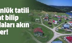 9 günlük tatili fırsat bilip yaylalara akın ettiler!