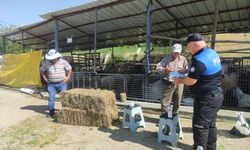 Kurban pazarlarında broşürlü uyarı