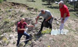 Yuva köyündeki zehirlenmelerin nedeni beli oldu!