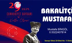 Bakalitçi Mustafa- Mustafa Bingöl