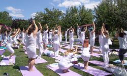 Gölcük'te Yoga Dolu Bir Gün: Doğanın Kucağında Huzur