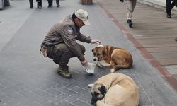 Sokak hayvanlarına Polis şefkati