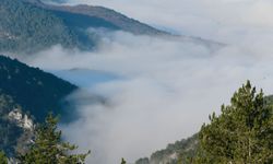 Bolu, Kocaeli ve Düzce'de sis etkisini gösterdi