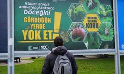 Çok tehlikeli görüldüğü yerde yok edilmeli!