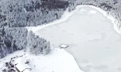 Topuk Yaylası Göleti Dondu: Düzce'nin Doğal Güzellikleri Kışa Hazır