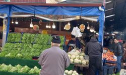 Bolu pazarı sebze meyve ve balık  fiyatları