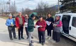 Bolu'da Kahverengi Kokarca Tehdidi: Tarım ve Orman Müdürlüğü Harekete Geçti!