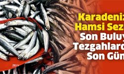 Karadeniz'de Hamsi Sezonu Son Buluyor: Tezgahlardaki Son Günler!