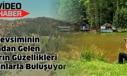 Kış Mevsiminin Ardından Gelen Baharın Güzellikleri Ormanlarla Buluşuyor