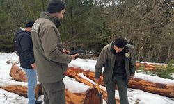 Mudurnu'da İlk Barkodlu Orman Emvali İhalesi