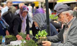 Yerli fide satışı başladı