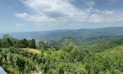 Dağdaki esnaftan Bolu Dağı yorumu!