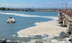 Karadeniz'deki görüntünün sebebini Bolu açıklandı