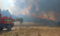 Gerede – Ankara yangınla ilgili 1 şüpheli tutuklandı