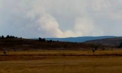 Bolu - Gerede' de orman yangını!