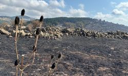 Yangında soğutma çalışmaları devam ediyor