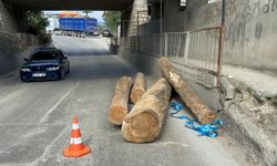 Tır alt geçitten geçerken tomrukları yola düşürdü