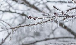 Meteorolojiden Bolu için zirai don uyarısı