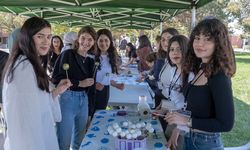 Öğrenciler, festival kapsamında sanat etkinlikleri yaptı