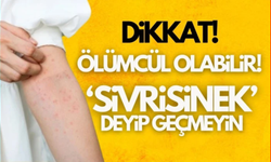 Uzmanı anlattı: Sivrisinek ısırığı ile gelen tehlike