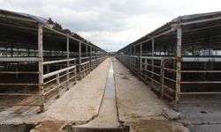 Bayrama günler kala hayvan pazarında sessizlik
