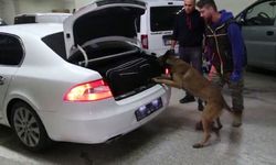 Bolu'da kaçakçılık operasyonunda 4 gözaltı