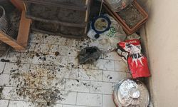 Balkonunda mangal yapan şahsa 2 bin 935 lira ceza