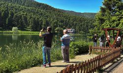 Bolu’da yangın riskine karşı ormanlık alanlara giriş yasaklandı