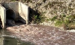 Büyüksu ve Gerede Çayını Meclis Başkanlığına Taşıdı