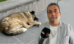 Uzmanı uyardı: "Keneler yeni konakçı arayabilir"