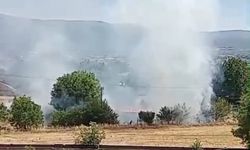 Bolu’da anız yangını korkuttu
