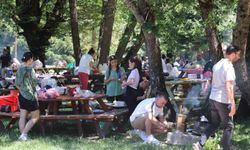 Bolu’da ‘ateşli piknik’ tamamen yasaklandı