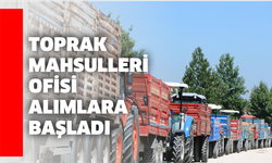 Toprak Mahsulleri Ofisi Alımlara Başladı