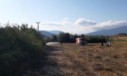 Bolu’da otluk alandaki yangın büyümeden söndürüldü: Su şişeleriyle müdahale ettiler