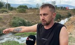 Erpiliç’in pisliği, hamile kadını hastanelik etti