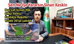 LAF ÇOK İCRAAT YOK!