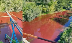 Mudurnu Deresi'nde kirlilik oranı 40 kat fazla çıktı
