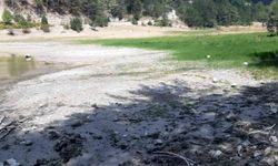 Orman yangınında kritik rol oynayan gölet, can çekişiyor