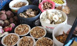 Ormandan Kanlıca bereketi! Pazarda kilosunu 400 liraya sattı