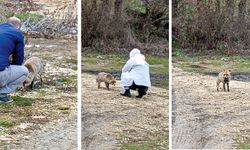 Belediye Personelinden Örnek Davranış