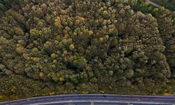 Bolu geçişinde ağaçlar sarı, turuncu ve kızıl tonlara büründü