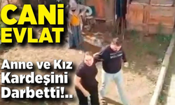 Bolu’da bir şahıs anne ve kız kardeşini böyle darp etti