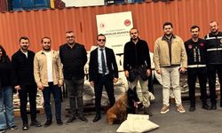 Bolulu Savcı’dan Rekor Operasyon!