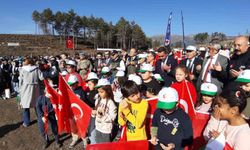 Bolu’da yanan orman yeniden yeşeriyor