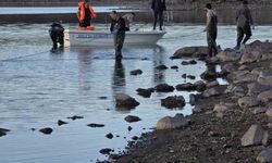 Bolu’da 5 kilometrelik hayalet ağ toplandı: 500 balık canlı kurtarıldı
