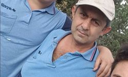 Bolu’da Ağaç Kesimi Sırasında Feci Kaza: Bir Kişi Hayatını Kaybetti