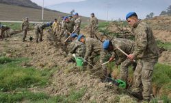 Bolu komando bu defa operasyona çıkmadı