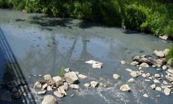 Gerede’de fabrikaların zehrini kustuğu derenin yeniden davası görülecek