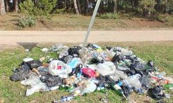 Ormanlık alanda çöp yığınları